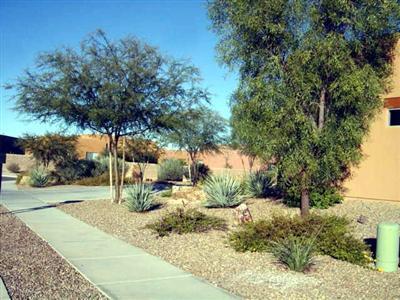 14057 E Copper Mesa Ct, Vail, AZ 85641 photo 2