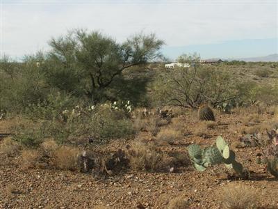 661 N Maxine Dr, Tucson, AZ 85641 photo 1