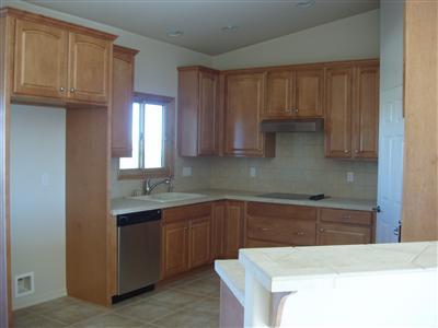 380 N Suntan, Vail, AZ 85641 photo 3
