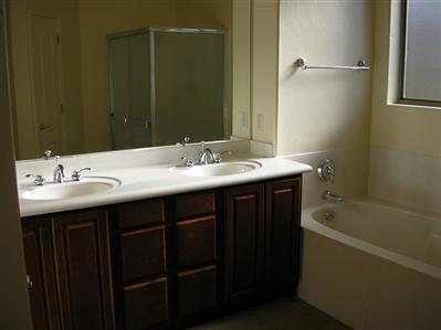 10536 S Coyote Melon Loop, Vail, AZ 85641 photo 6