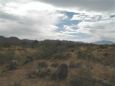 398 W Weldon St, Tucson, AZ 85641 photo 2