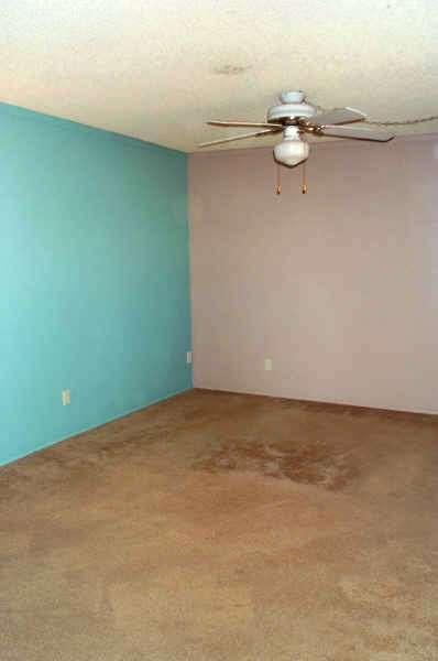 7331 E David Dr, Tucson, AZ 85730 photo 8