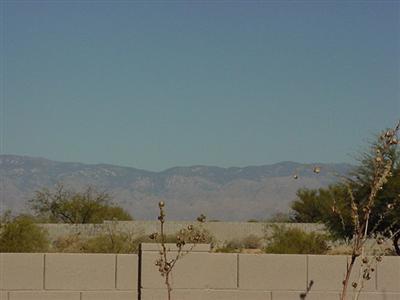 9031 E Marci Lynne Way, Tucson, AZ 85747 photo 10