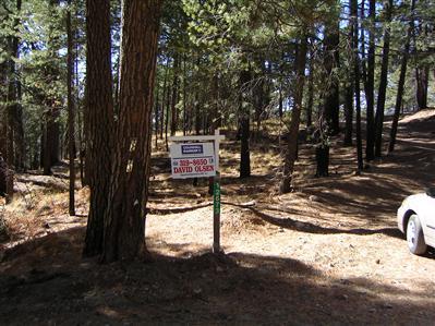 12673 N Middle Sabino Rd, Mount Lemmon, AZ 85619 photo 3