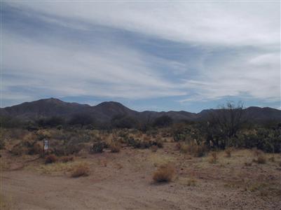 150 W Tracy Dr W, Tucson, AZ 85641