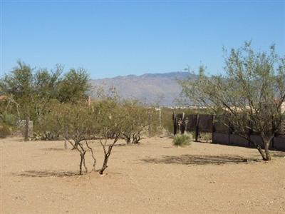 2991 E Calle Bacardi, Vail, AZ 85641 photo 10