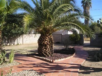 5516 E 3rd St, Tucson, AZ 85711 photo 4