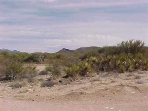 14461 E Madrona Station Pl, Vail, AZ 85641 photo 3