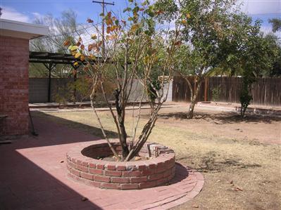 7001 E 3rd St, Tucson, AZ 85710 photo 5