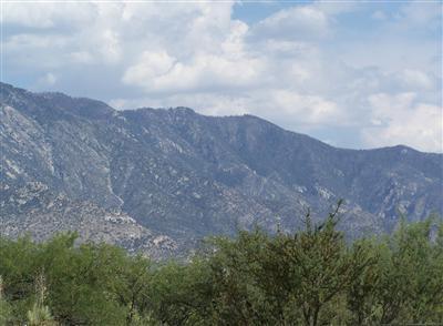 5440 Edwin Rd, Tucson, AZ 85739 photo 2