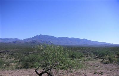 15715 E Marsh Station Rd, Vail, AZ 85741 photo 3