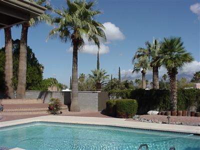 9231 E 26th St, Tucson, AZ 85710 photo 5