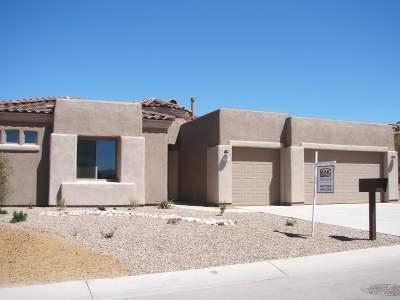 10533 S Coyote Melon Loop, Vail, AZ 85641 photo 11