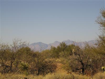 10533 S Coyote Melon Loop, Vail, AZ 85641 photo 10