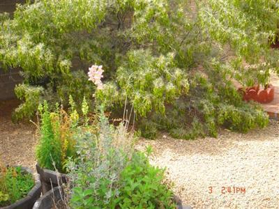 5752 E 8th St, Tucson, AZ 85711 photo 2