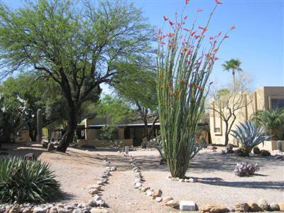 6957 E Rivercrest Rd, Tucson, AZ 85750 photo 1