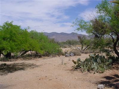 19333 E Marsh Station Rd, Vail, AZ 85641 photo 8