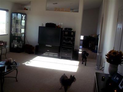 86 W James Wade Pl, Vail, AZ 85641 photo 2