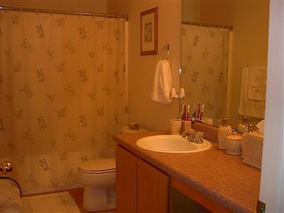 1663 E Saint Ferdinand Pl, Tucson, AZ 85713 photo 9