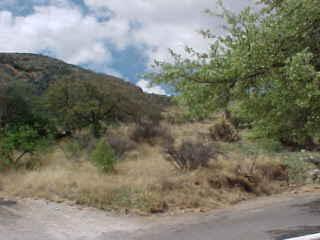 117 Higgins Hl, Bisbee, AZ 85603 photo 9