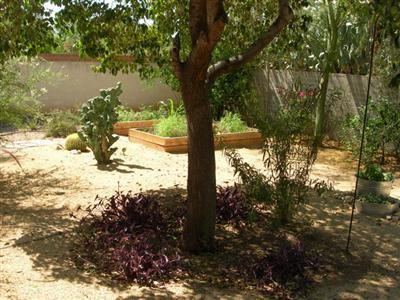 2221 E Copper St, Tucson, AZ 85719 photo 10
