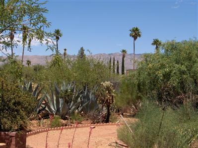 13300 E Kahlua Rd, Vail, AZ 85641 photo 3