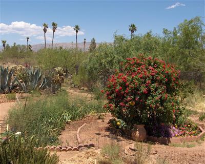 13300 E Kahlua Rd, Vail, AZ 85641 photo 2