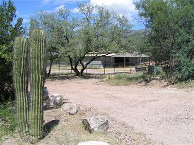 6955 S X9 Ranch Rd, Vail, AZ 85641 photo 6