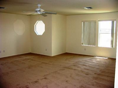 13487 E Hampden Green Way, Vail, AZ 85641 photo 7