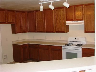 13487 E Hampden Green Way, Vail, AZ 85641 photo 5