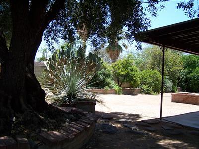 7032 E 3rd St, Tucson, AZ 85710 photo 8