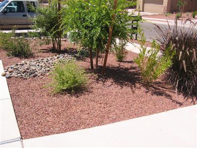 10451 S Drifter Ranch Pl, Vail, AZ 85641 photo 3