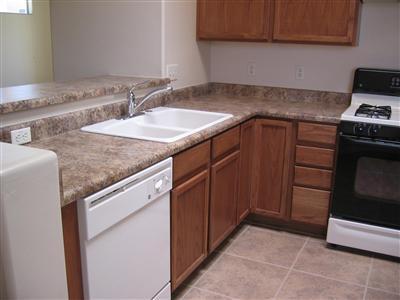 10451 S Drifter Ranch Pl, Vail, AZ 85641 photo 6