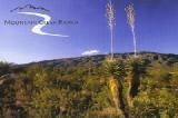 15349 E Hidden Horse Pl, Vail, AZ 85641 photo 1