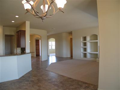 10544 S Coyote Melon Loop, Vail, AZ 85641 photo 4