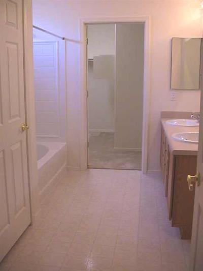 3513 E Farrier Dr, Tucson, AZ 85739 photo 7