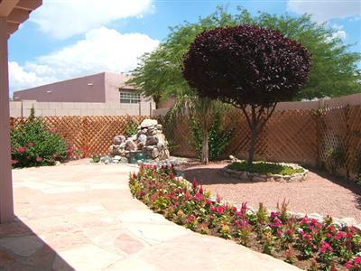 494 E Squirrel Tail Dr, Tucson, AZ 85704 photo 9