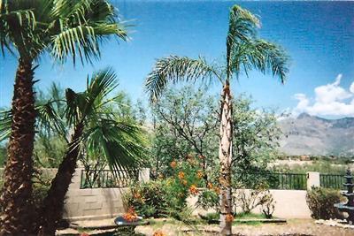459 E Squirrel Tail Dr, Tucson, AZ 85704 photo 3