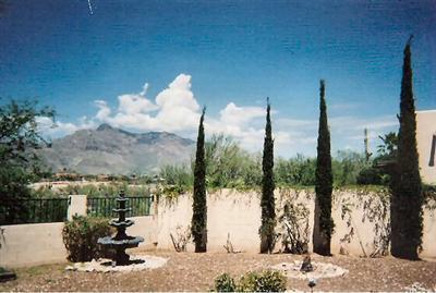 459 E Squirrel Tail Dr, Tucson, AZ 85704 photo 2