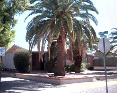 2001 E Spring St, Tucson, AZ 85719 photo 1