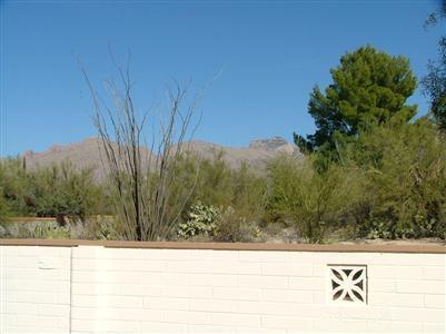 727 E Agave Pl, Tucson, AZ 85718 photo 2