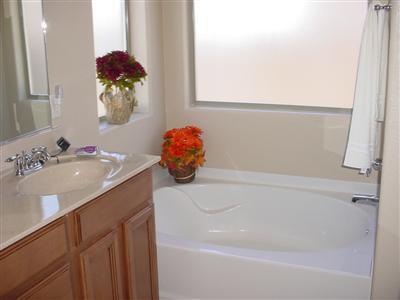 4335 E Mesquite Desert, Tucson, AZ 85706 photo 3