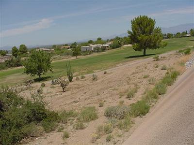 528 S Blue River Loop, Vail, AZ 85641 photo 8