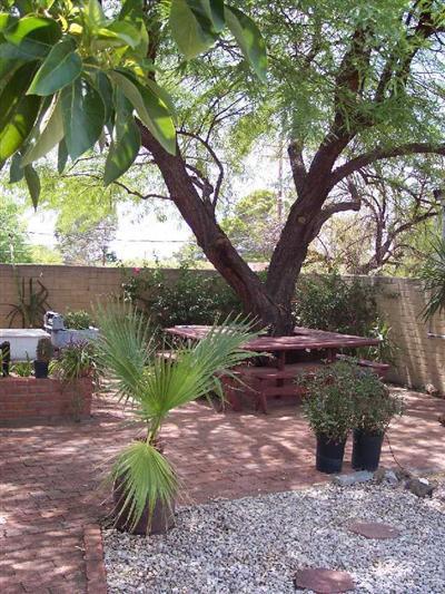 4873 E Cooper St, Tucson, AZ 85711 photo 8