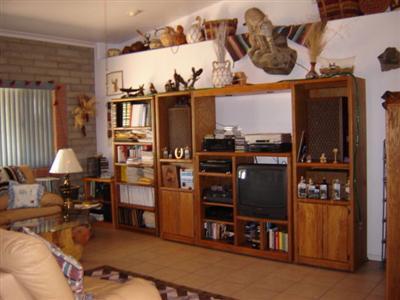 1441 N Reta Dr, Vail, AZ 85641 photo 3