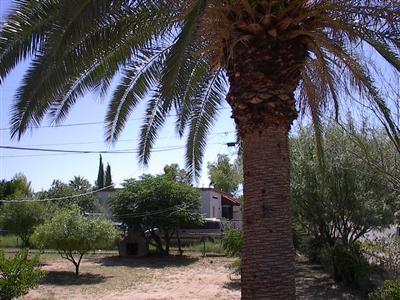 2902 E 28th St, Tucson, AZ 85713 photo 9