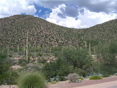 5186 W Gallery Canyon Pl, Marana, AZ 85653 photo 4