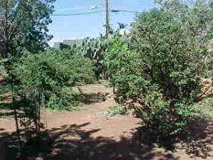 3862 S Hillman Ave, Bisbee, AZ 85603 photo 9