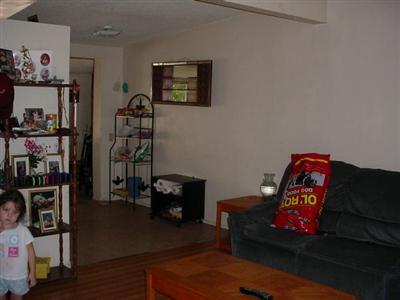 5217 E 23rd St, Tucson, AZ 85711 photo 3