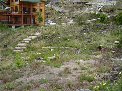 12788 N Phoenix Ave, Mt. Lemmon, AZ photo 1